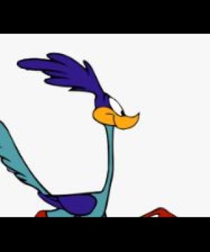 Meep Meep