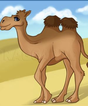 Alice the Camel