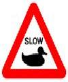 Slow Duck